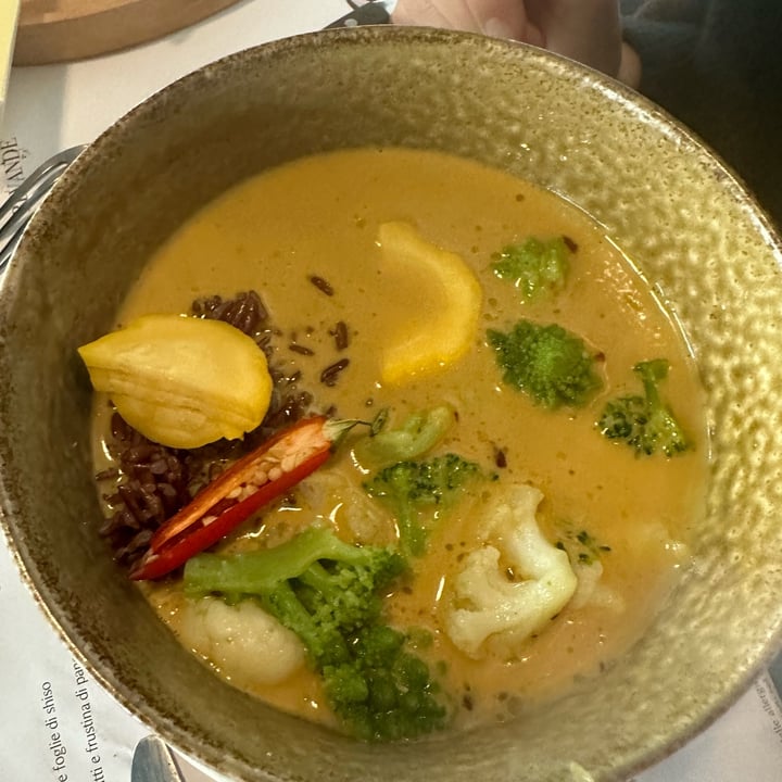 photo of Romeow Cat Bistrot Riso rosso al mango cocco con okra saltati al peperoncino e lime shared by @fluirefemminile on  10 May 2023 - review