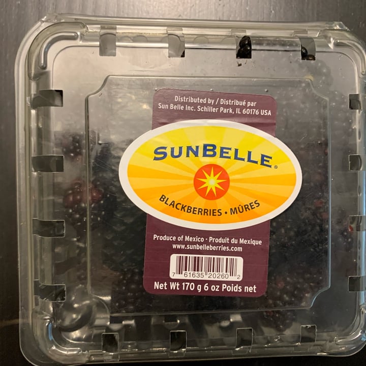 Sunbelle Blackberries Review abillion