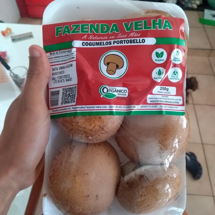 photo of Fazenda velha Cogumelos Champignon de Paris shared by @jessilobato on  19 Jul 2023 - review