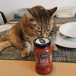 Cirio