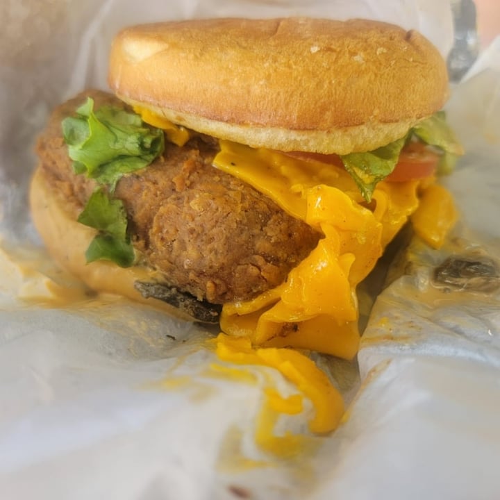 photo of Refocused Vegan Chicken Sandwich shared by @nittene on  08 Aug 2023 - review