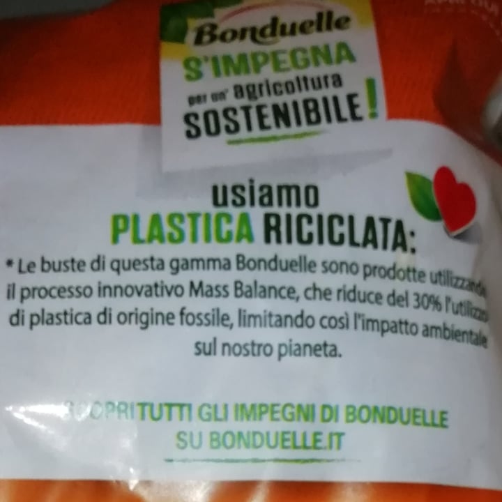photo of Bonduelle Carta delle Insalate - Ricetta Deliziosa shared by @miocillo0 on  23 Jul 2023 - review