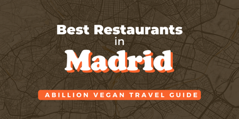 Travel Guide - Our Top Restaurants in Madrid