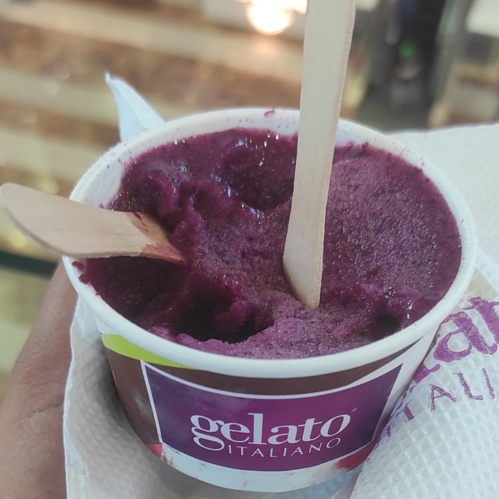 photo of gelato italiano Jamun Sorbet shared by @indianveganstuff on  15 Jun 2023 - review