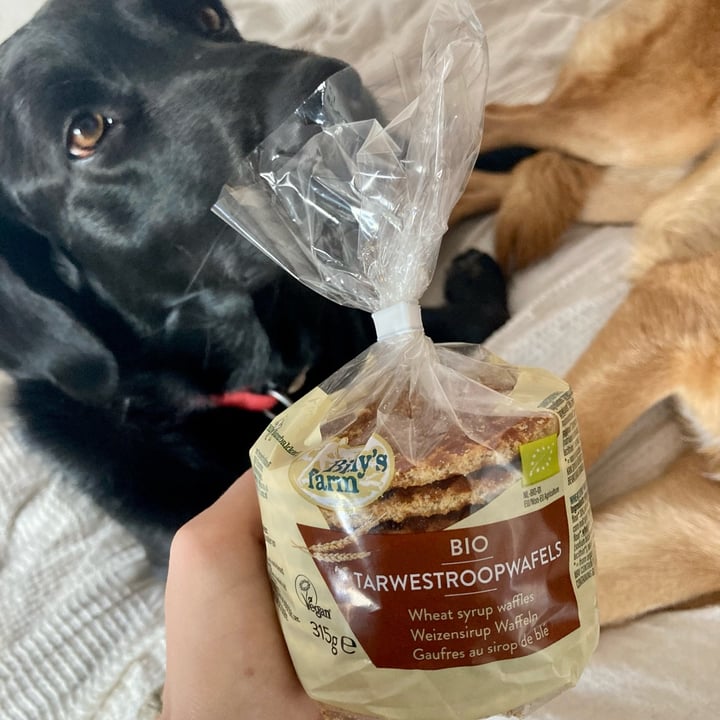 Billy’s Farm Reviews | abillion