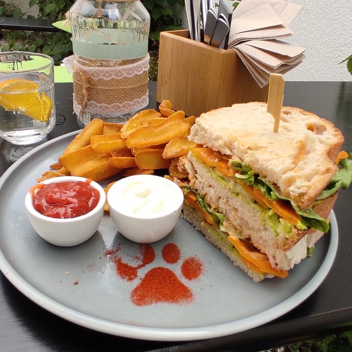 photo of Katzentempel Erlangen Save The Ocean Sandwich shared by @hypatia on  23 Jul 2023 - review