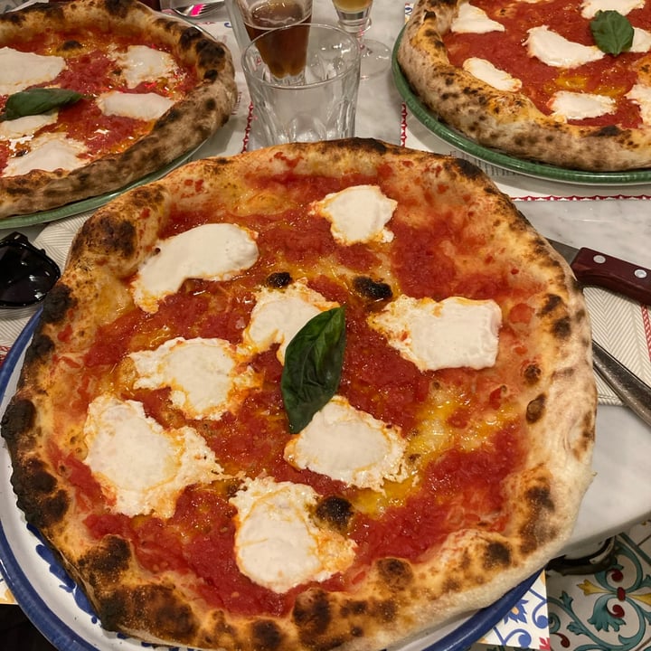 photo of Pizzium - Bologna Pizza margherita Vegana (Mozzarella Dream Farm) shared by @simonnaylor on  01 Jun 2023 - review