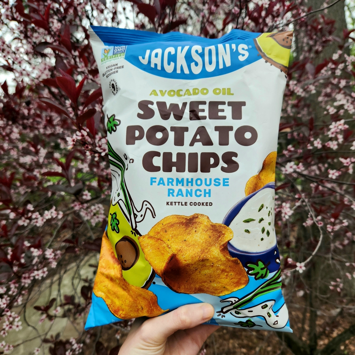 jackson’s sweet potato chips Farmhouse Ranch Reviews abillion