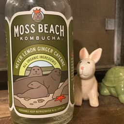 Moss Beach