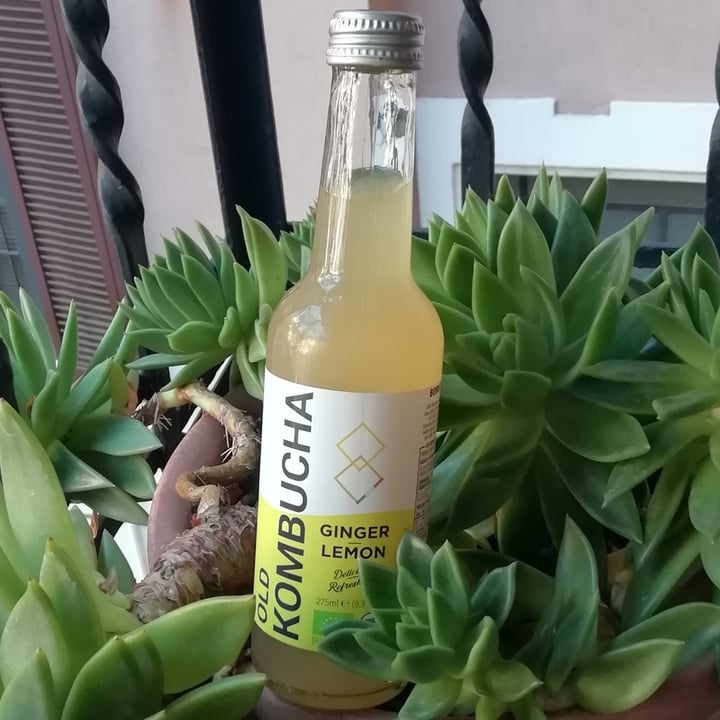 photo of Old Kombucha Old Kombucha Ginger Lemon shared by @miocillo0 on  19 Jul 2023 - review