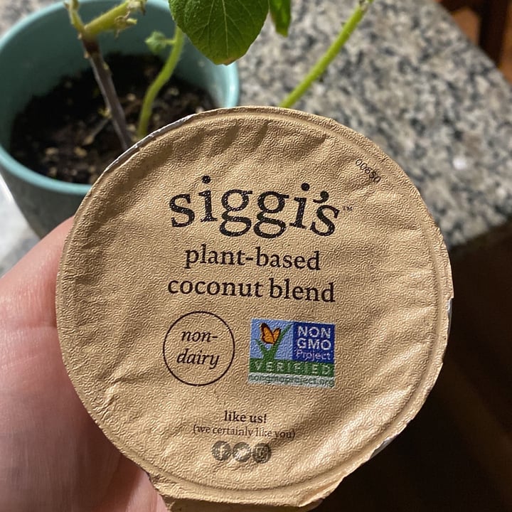 photo of siggi’s Plant Based Coconut Blend Non-Dairy Yogurt shared by @regina- on  13 Feb 2023 - review