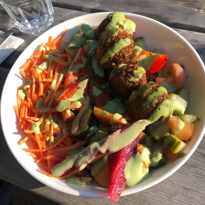 photo of Planted in Hamilton Falafel Bowl shared by @sueprozak on  02 Aug 2023 - review