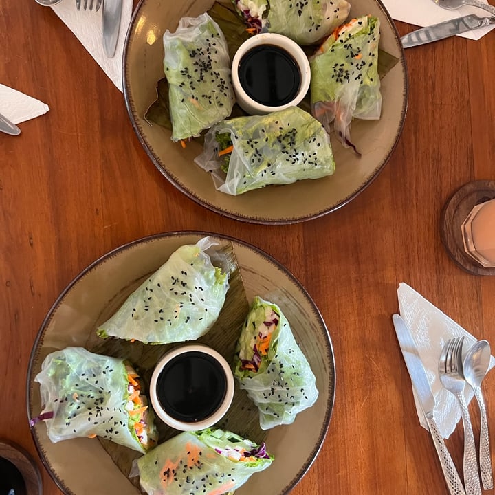 photo of Zamá Restaurante rollitos vietnamitas shared by @llarranaga on  02 Apr 2023 - review