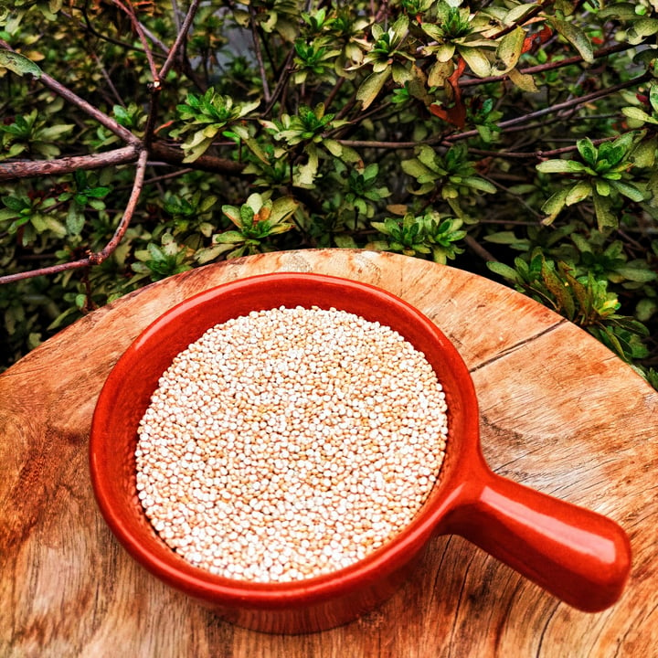 photo of BioQui quinoa bianca shared by @gabbievuote on  23 Mar 2023 - review