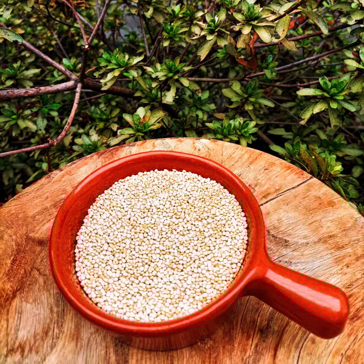 photo of BioQui quinoa bianca shared by @gabbievuote on  23 Mar 2023 - review