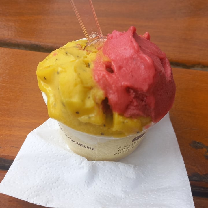 photo of Artisanal Gelato Madalê Sorvete shared by @janaina09 on  21 Jan 2023 - review