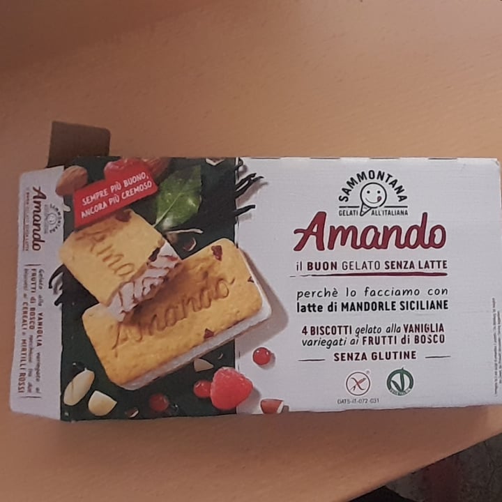 photo of Sammontana 4 biscotti gelato alla vaniglia variegati ai frutti di bosco shared by @carlottamar on  20 Jul 2023 - review