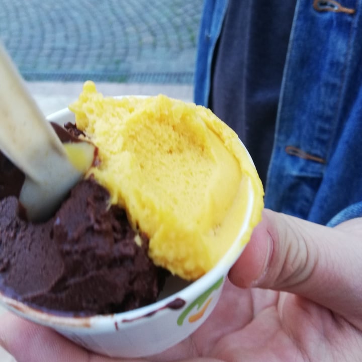 photo of Mivé gelateria artigianale gelato al mango shared by @littlepoppyseed on  27 Mar 2023 - review