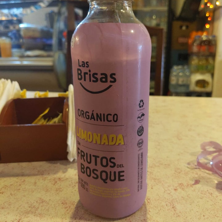 photo of Las brisas Limonada Con Frutos Del Bosque Organico shared by @ailinmassa on  29 Dec 2022 - review