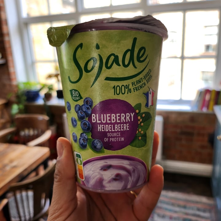 photo of Sojade So Soja! Blueberry - Heidelbeere Soya Yogurt alternative 400g shared by @gabriellademartino on  27 Jun 2023 - review