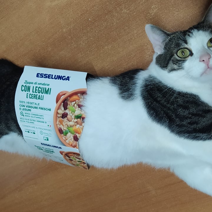 photo of Esselunga Zuppa di verdure con legumi e cereali shared by @emicrania on  03 Jun 2023 - review