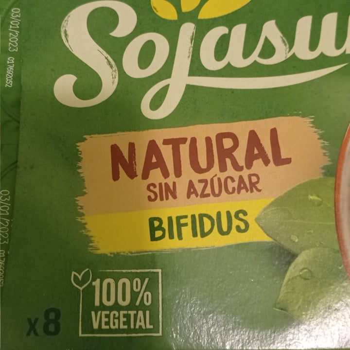 photo of Sojasun yogurt natural de soja shared by @nohemy on  22 May 2023 - review