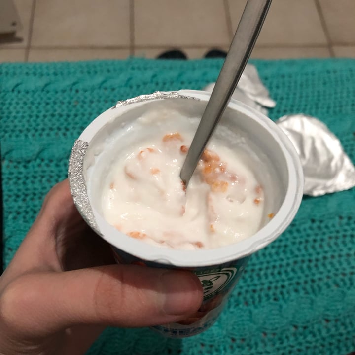 photo of Felices Las Vacas Yogurt de Almendras con Cereales shared by @ailincufre on  13 May 2023 - review