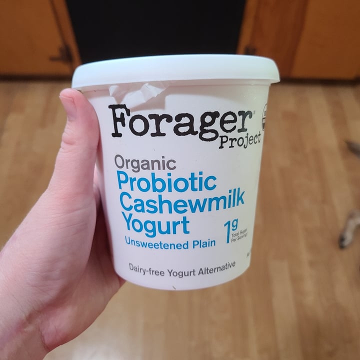 photo of Forager Project Cashewmilk Yogurt Unsweetened Plain shared by @sofihuasteca on  11 Aug 2023 - review
