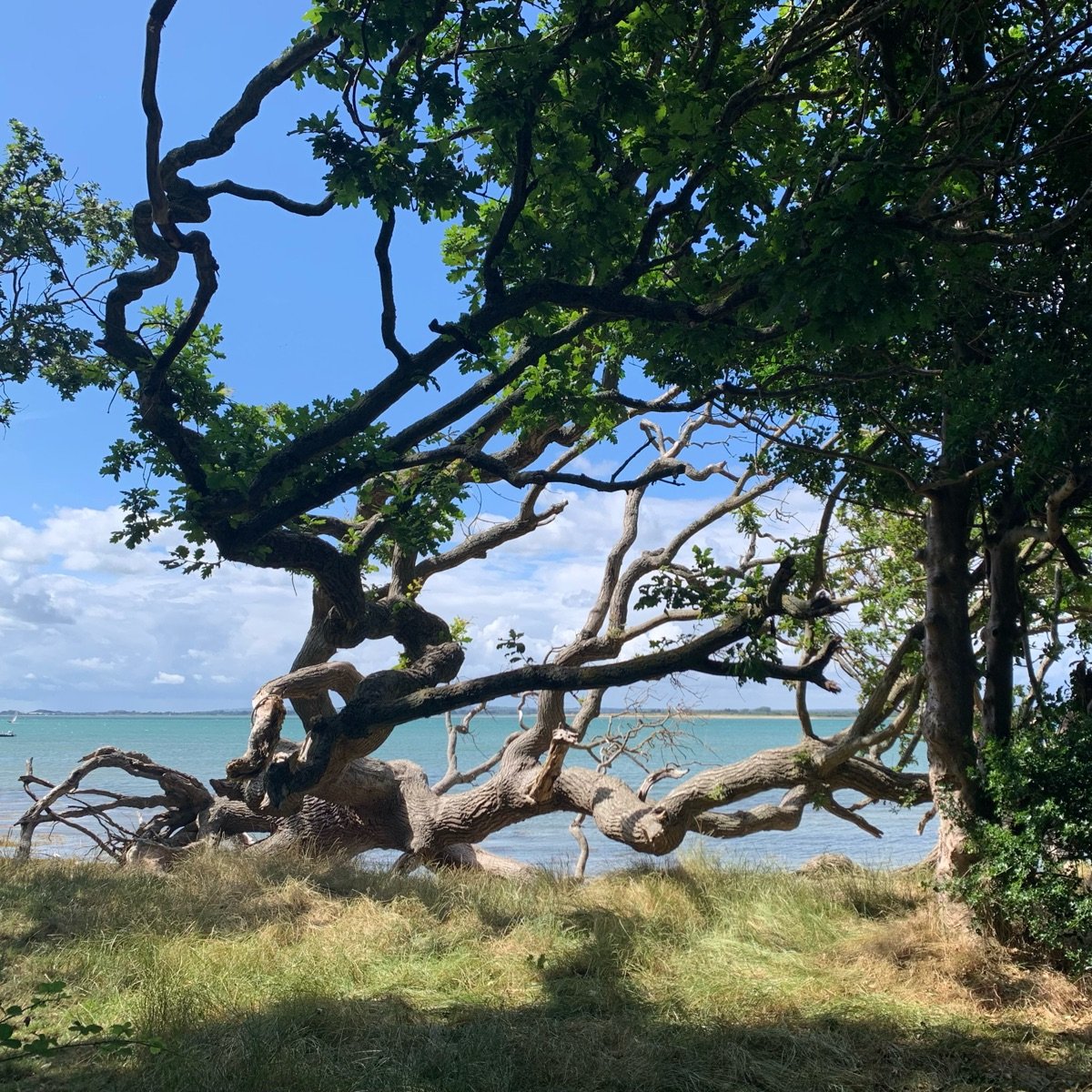 Knead Bakery malted tin Reviews abillion