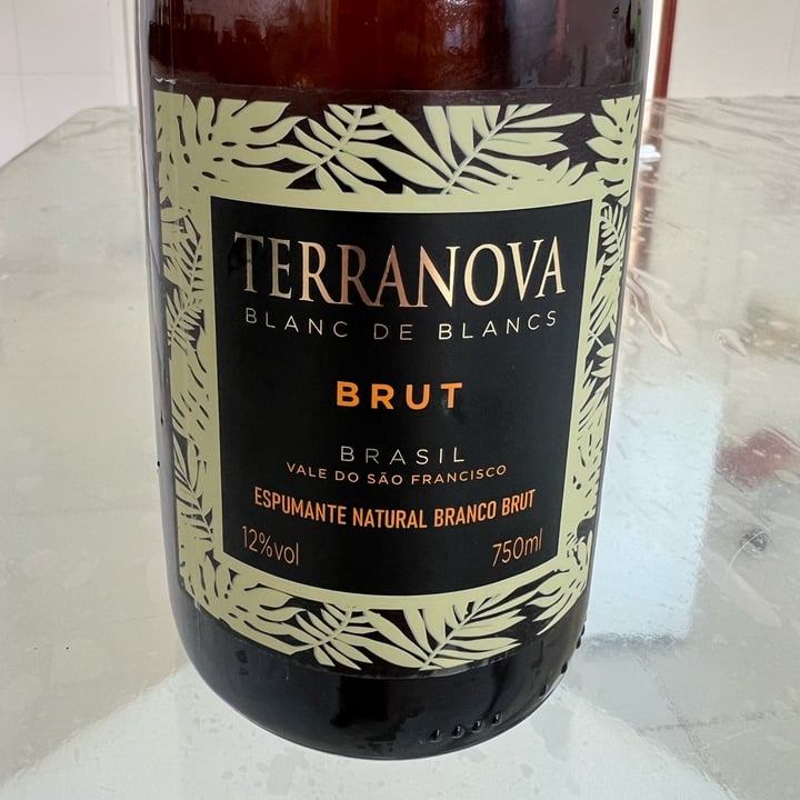 photo of Miolo Wine Group Espumante Terranova Brut shared by @melmicheletti on  01 Jan 2023 - review