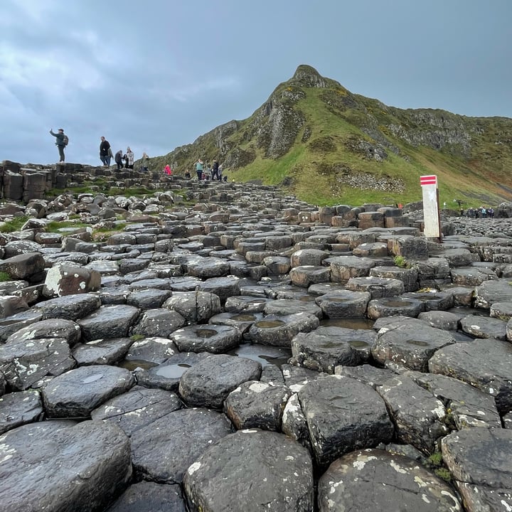 photo of National Trust - Giant's Causeway Vegan Falafel Wrap shared by @vegneve on  17 May 2023 - review