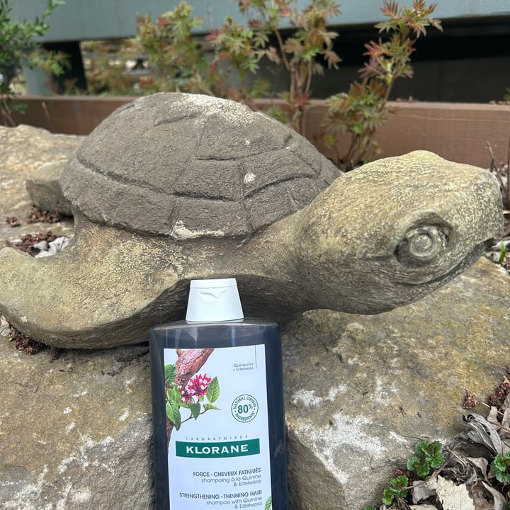 Klorane Strength Thinning Hair, Loss shampoo with Quinine & Organic