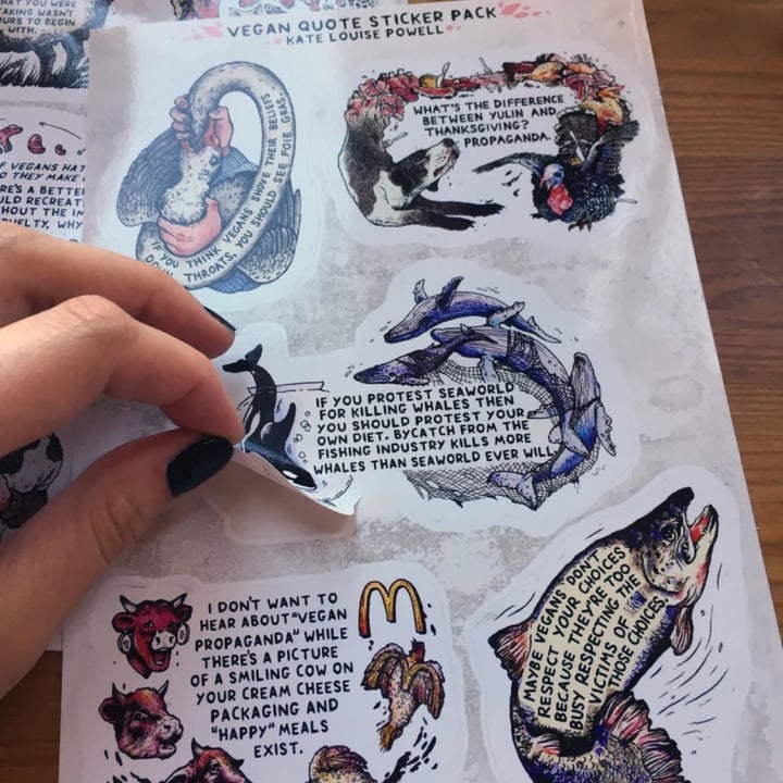 photo of undefined undefined shared by @katelouisepowell on  11 Jan 2023 - review