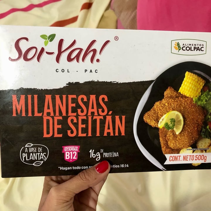 photo of Alimentos Colpac Proteínas Vegetales Estilo Milanesa shared by @marisel on  31 Dec 2022 - review