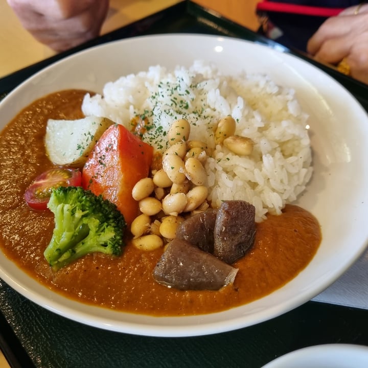 photo of Kaikoan Vegan Curry Rice shared by @imreiko on  08 Jun 2023 - review