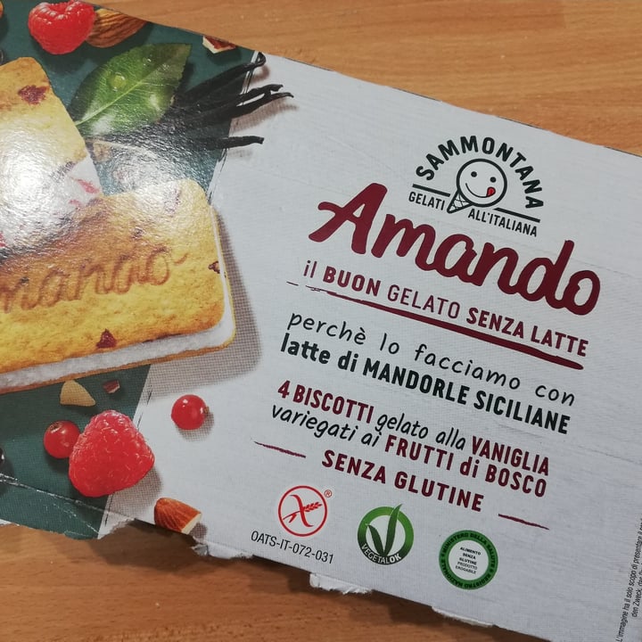 photo of Sammontana Biscotti gelato alla vaniglia variegati ai frutti di bosco shared by @littlepoppyseed on  07 Mar 2023 - review