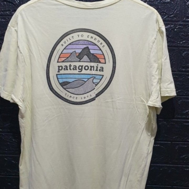 Patagonia Built to Endure t-shirt Review | abillion