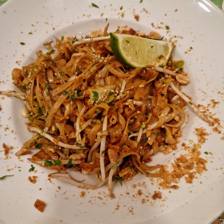 photo of Ecocentro Pad Thai shared by @safariveg on  18 Jan 2023 - review