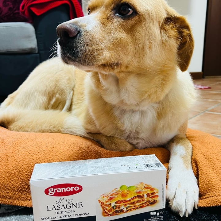 photo of Granoro Lasagne shared by @nicole- on  02 Jan 2023 - review