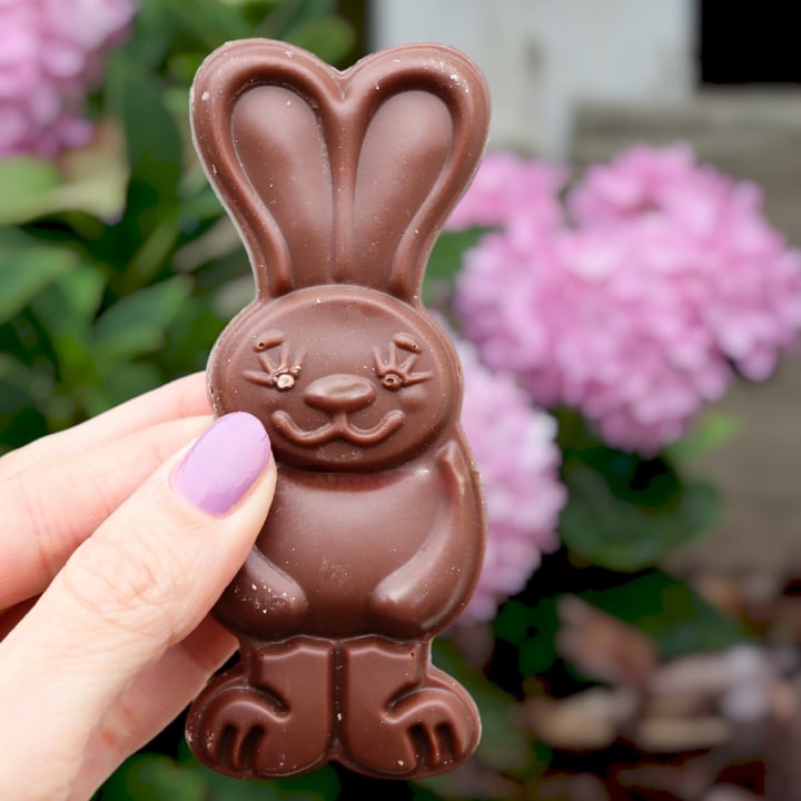 photo of Moo Free Easter Bunny shared by @lizmaselli on  14 Mar 2023 - review