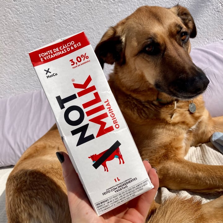photo of NotCo Not Milk 3% Teor de Gordura shared by @asiayportia on  31 Mar 2023 - review