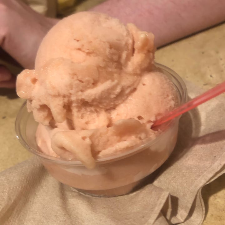 photo of Cafe 360 Blood Orange Sorbet shared by @veganchailatte on  15 Aug 2023 - review