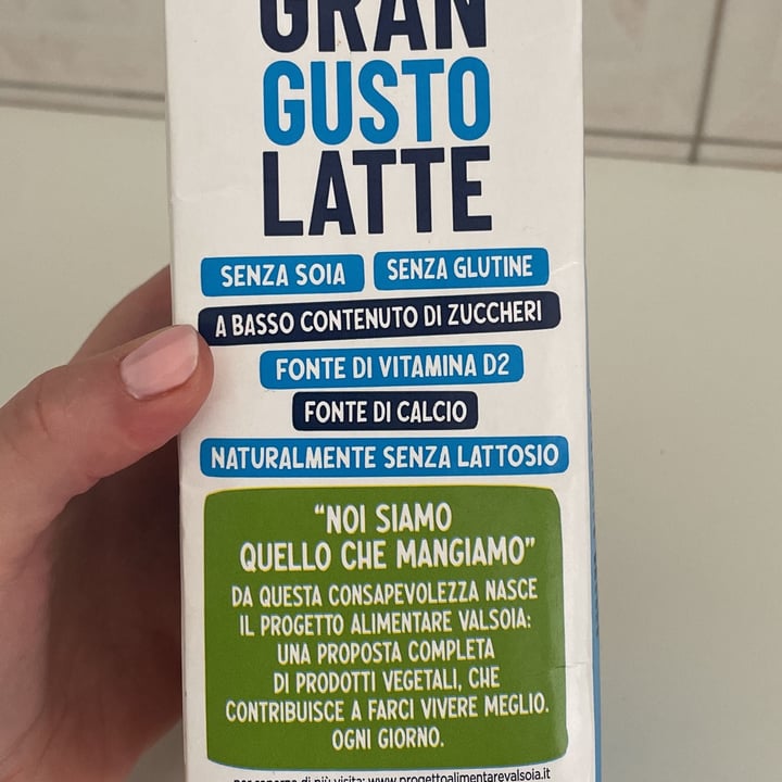 photo of Valsoia GRAN GUSTO LATTE shared by @lorena85 on  09 May 2023 - review
