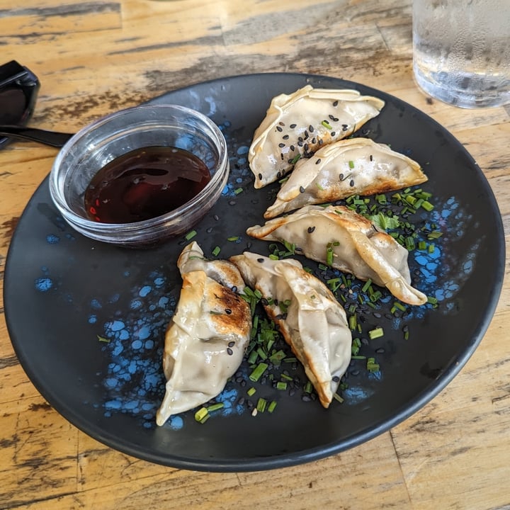 photo of Amarre 69 Gyozas shared by @lydiahawkins on  07 Aug 2023 - review