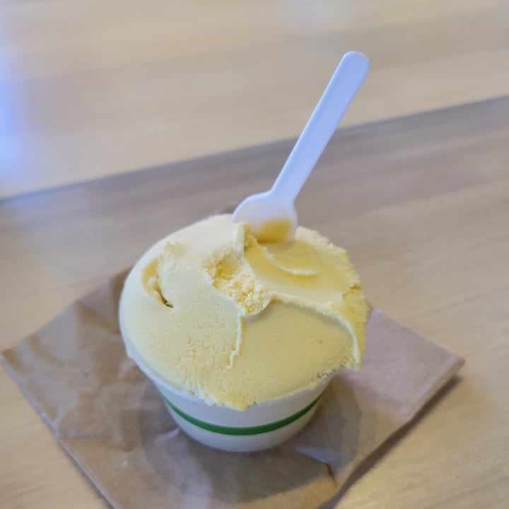 photo of Gulino Gelato Mango and Lime Gelato shared by @organicjoe on  02 Aug 2023 - review