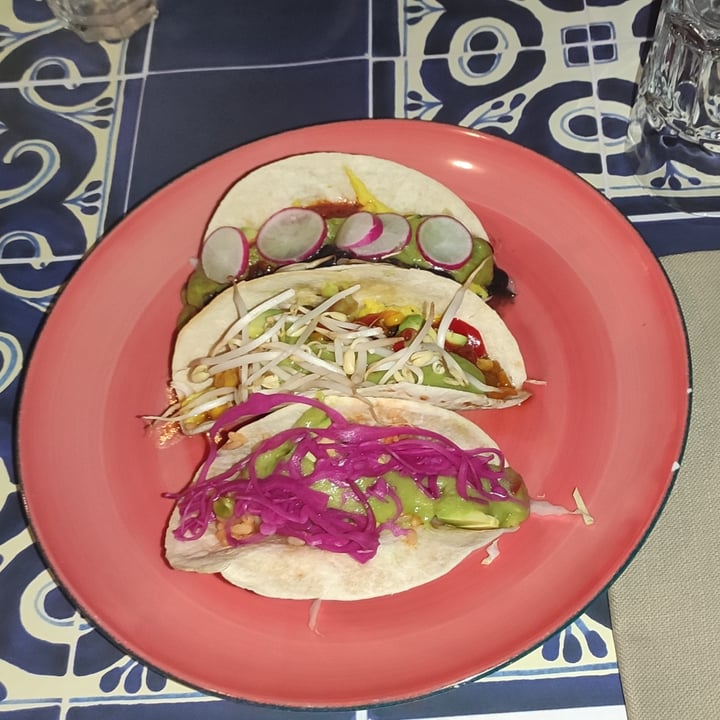 photo of Cicero Ristorante Messicano Tres Tacos Veganos shared by @viveregreenn on  10 Jun 2023 - review