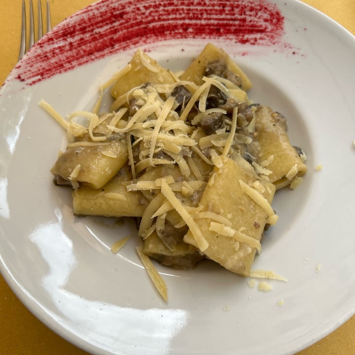 photo of Selezione Naturale Paccheri Con melanzane Saltate shared by @lucasigno on  23 Jul 2023 - review