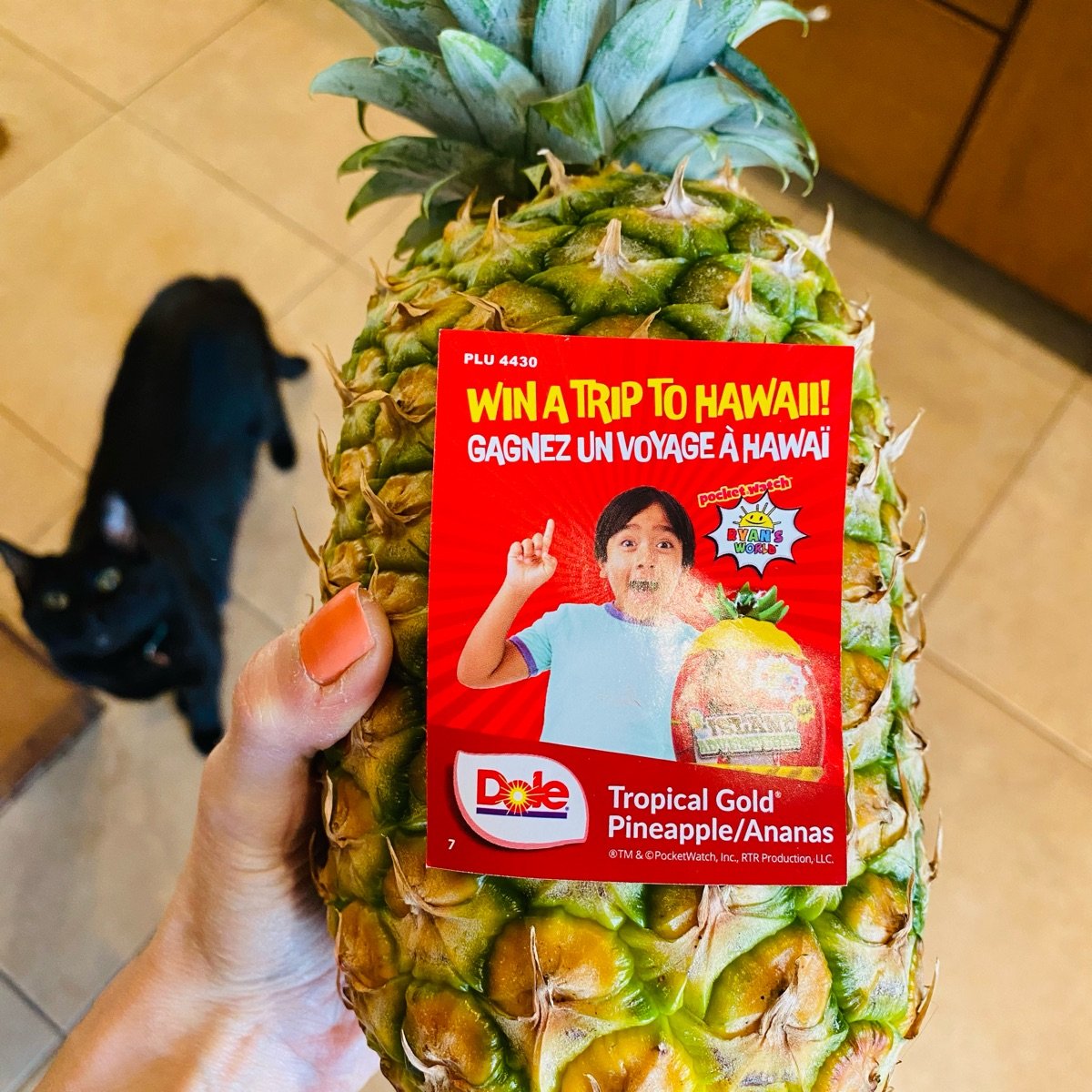 Dole Tropical Gold Pineapple Reviews abillion