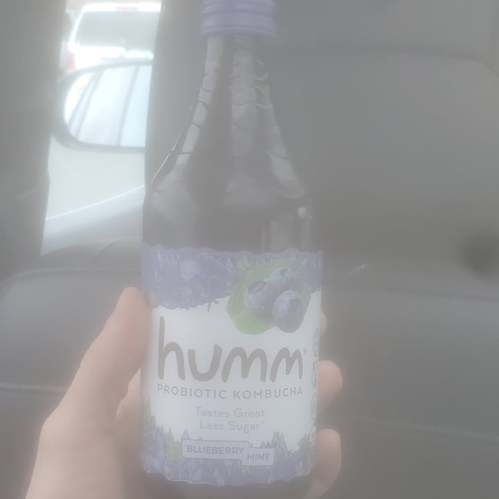 photo of Humm Kombucha Blueberry Mint shared by @brtjohns on  24 Mar 2023 - review