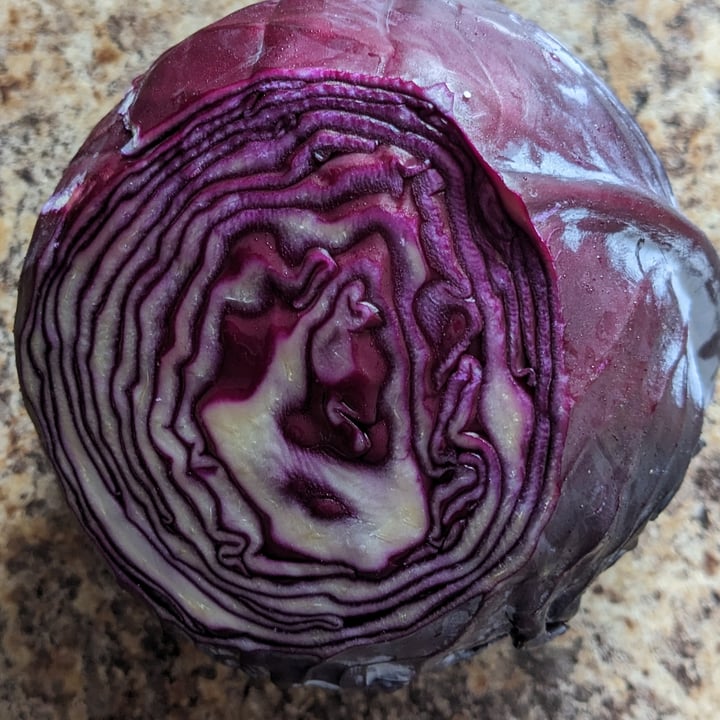 photo of Purple Cabbage Purple Cabbage shared by @soybean31 on  06 Feb 2023 - review